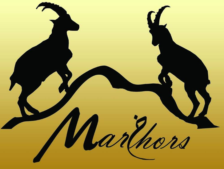 brand-logo
